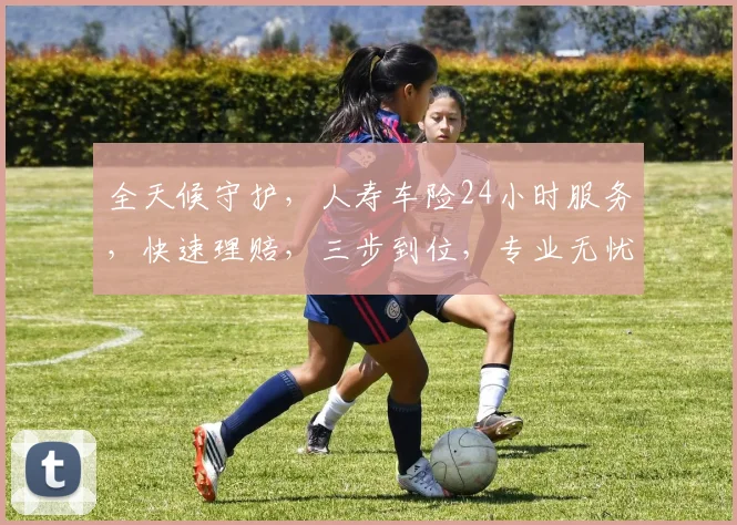 全天候守护，人寿车险24小时服务，快速理赔，三步到位，专业无忧，轻松应对
