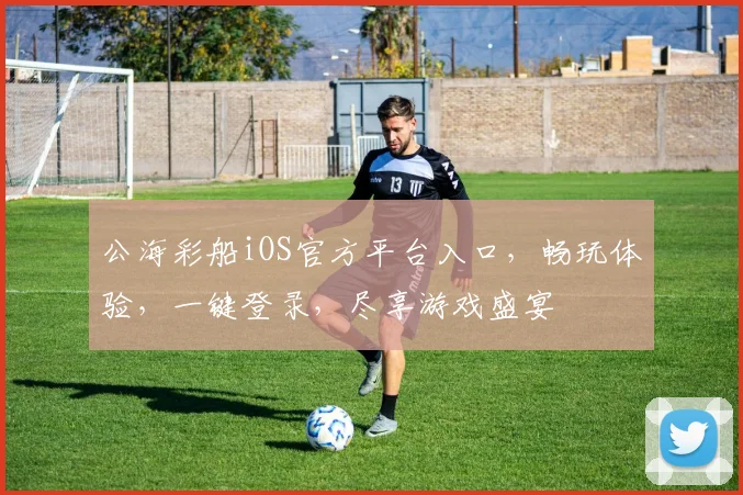 公海彩船iOS官方平台入口，畅玩体验，一键登录，尽享游戏盛宴