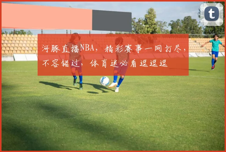 河豚直播NBA，精彩赛事一网打尽，不容错过，体育迷必看逗逗逗