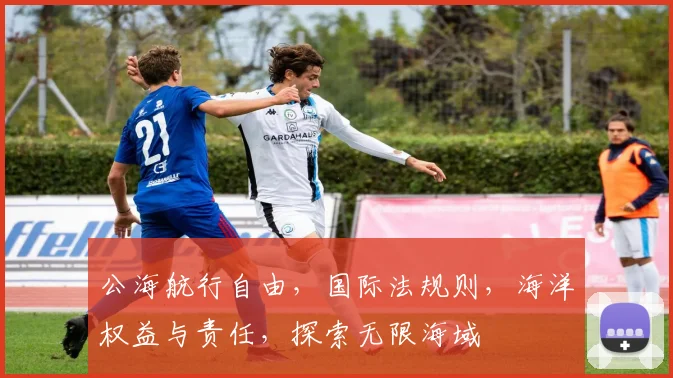 公海航行自由，国际法规则，海洋权益与责任，探索无限海域