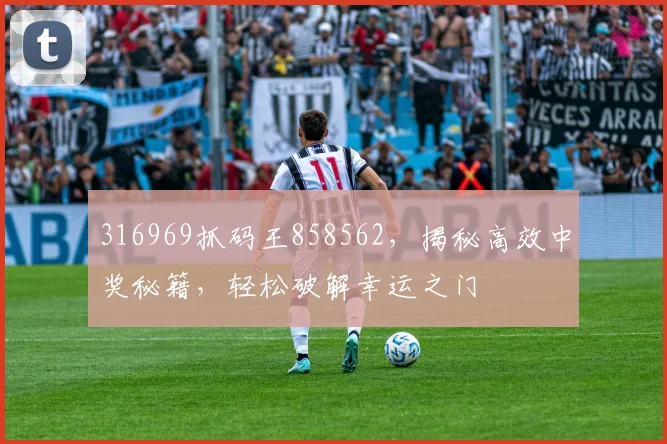 316969抓码王858562，揭秘高效中奖秘籍，轻松破解幸运之门