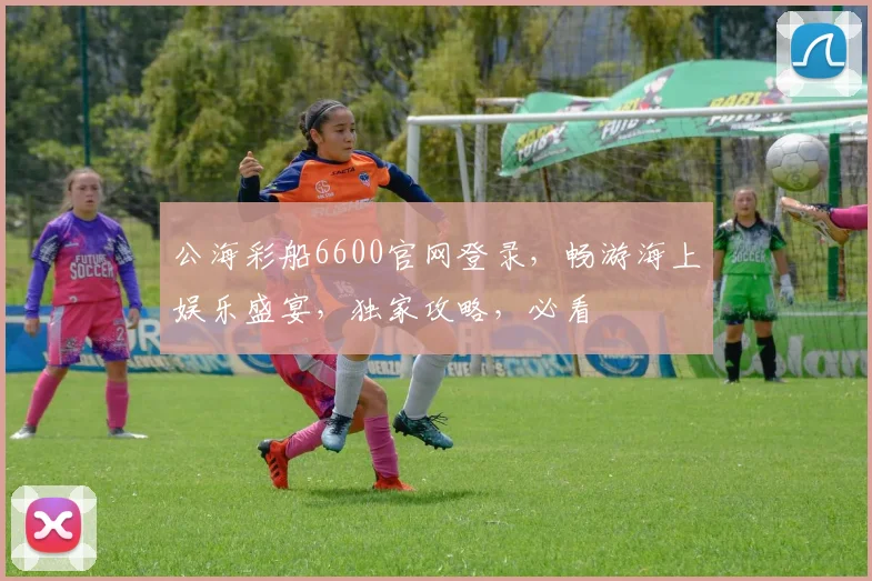 公海彩船6600官网登录，畅游海上娱乐盛宴，独家攻略，必看