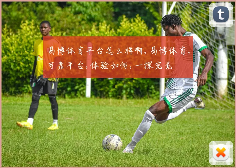 易博体育平台怎么样啊,易博体育,可靠平台,体验如何,一探究竟